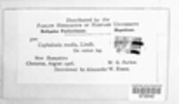 Image Associated With the Occurence